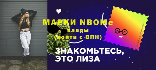 индика Арсеньев