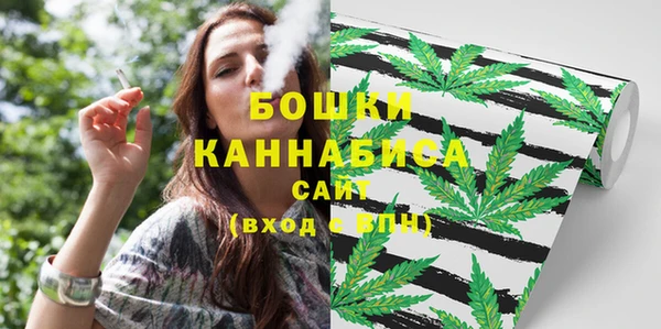 бошки Тавда