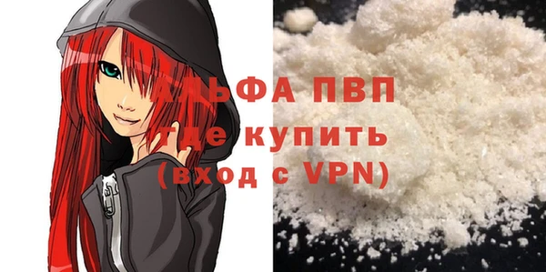 индика Арсеньев