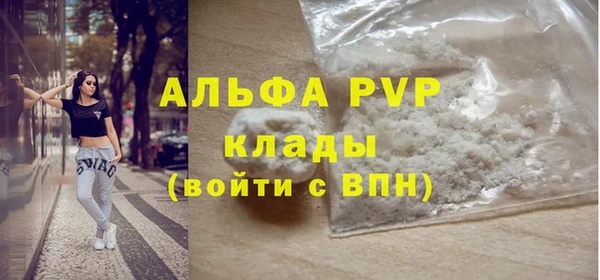 индика Арсеньев