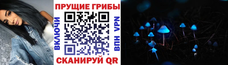 площадка формула Мамоново Галлюциногенные грибы Psilocybe где можно купить